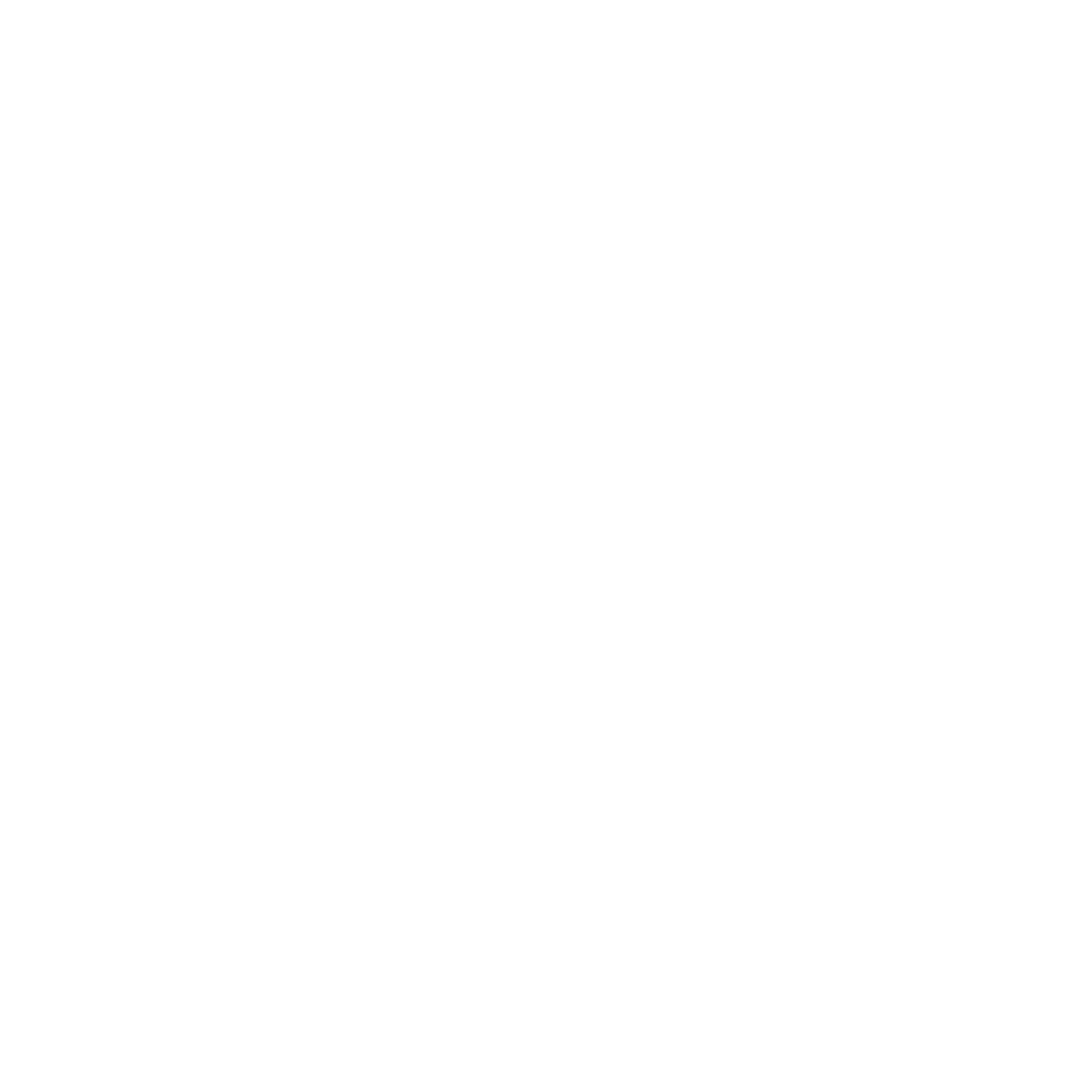 Noura HINCKER